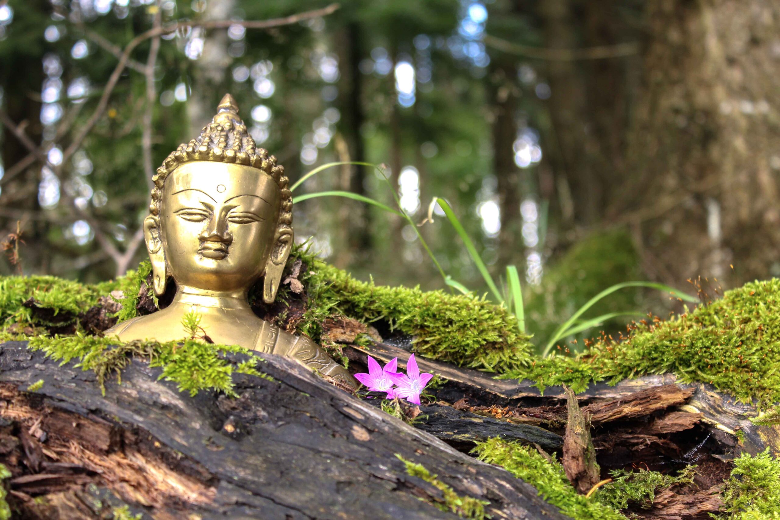 Buddha-Statue im Wald mit Blumen