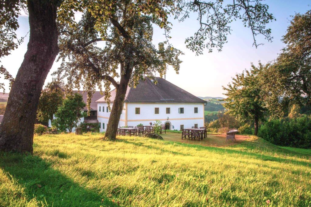 Hof mit Wiese und Bäumen