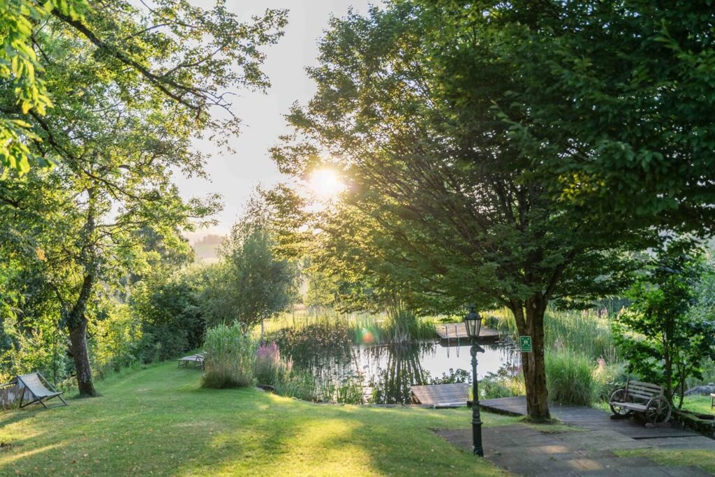Sonnenuntergang über einem ruhigen Teich