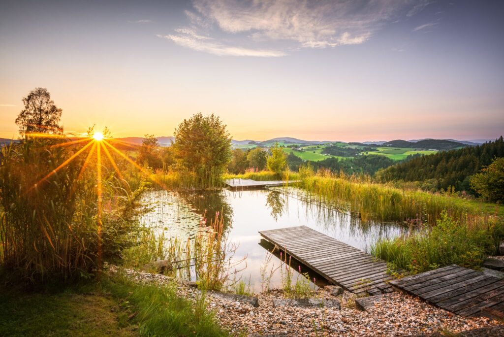 Sonnenuntergang über einem ruhigen Teich