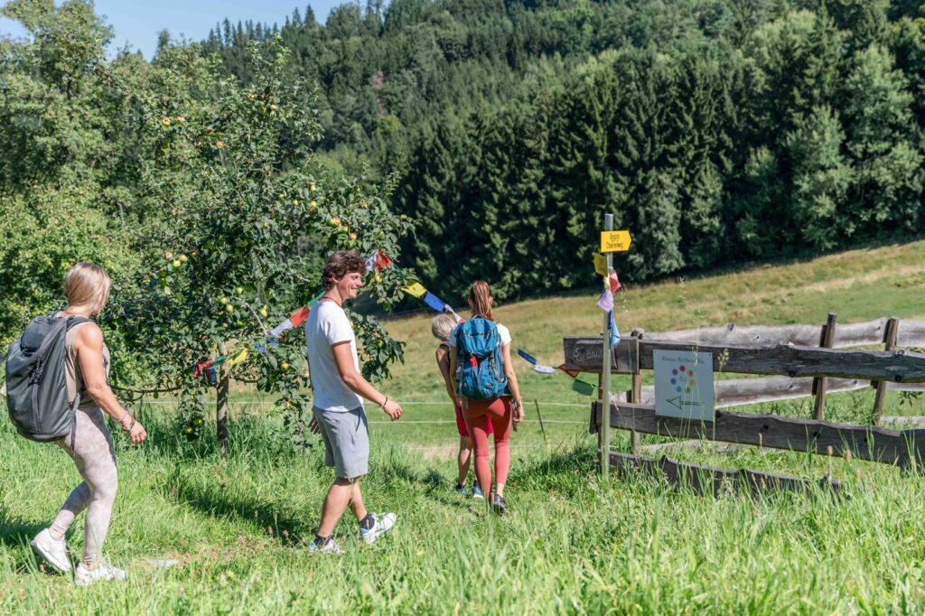 Wanderer auf einem malerischen Weg