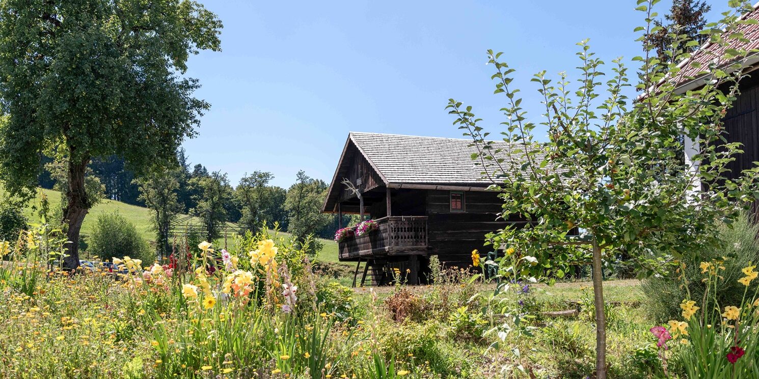 Blumenwiese vor einem Holzhaus.