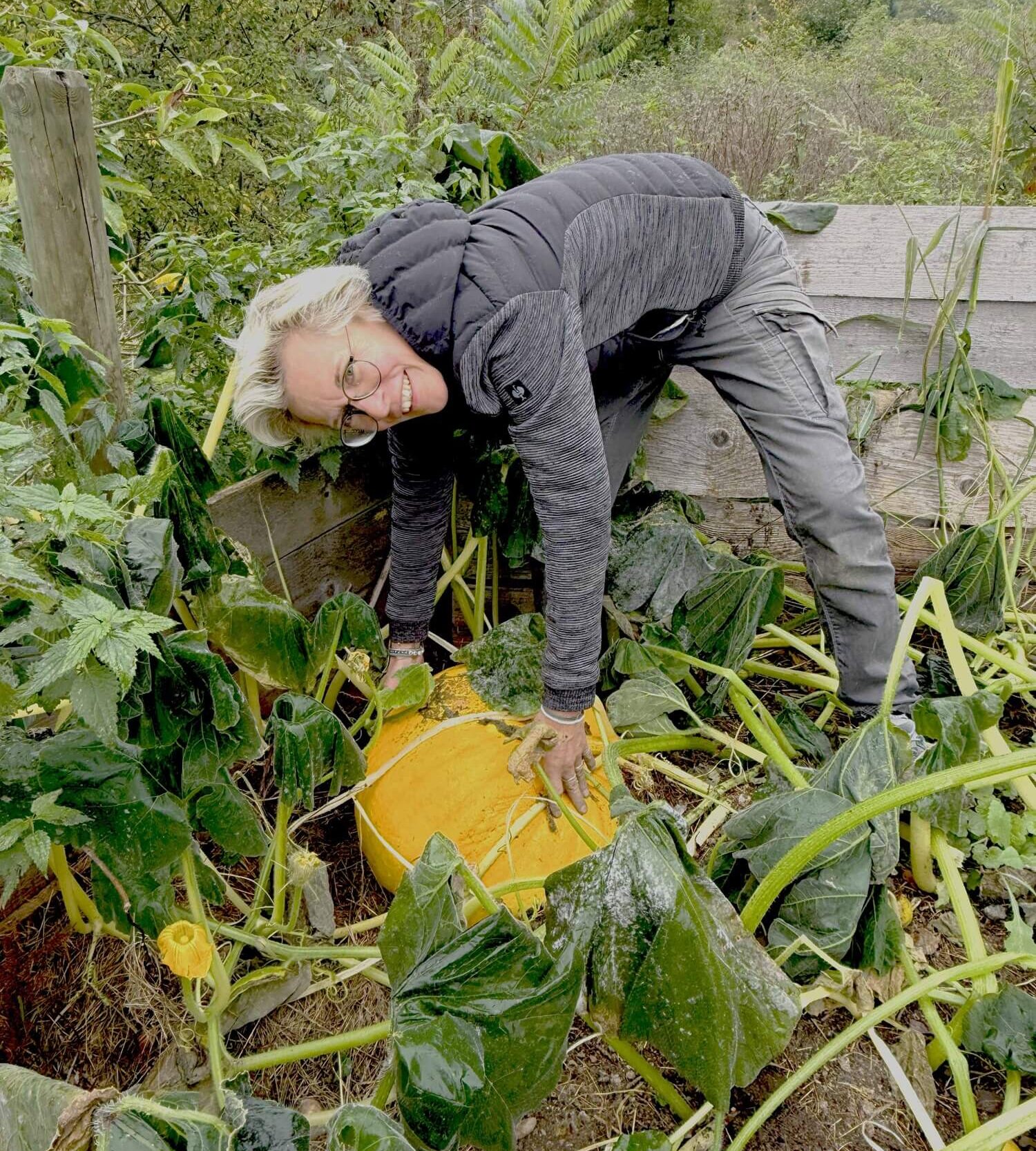 Frau erntet Kürbis im Garten.