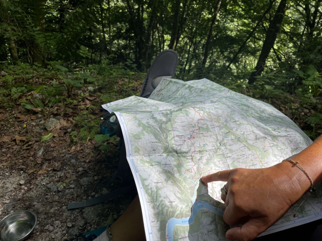 Wanderer studiert eine Karte im Wald