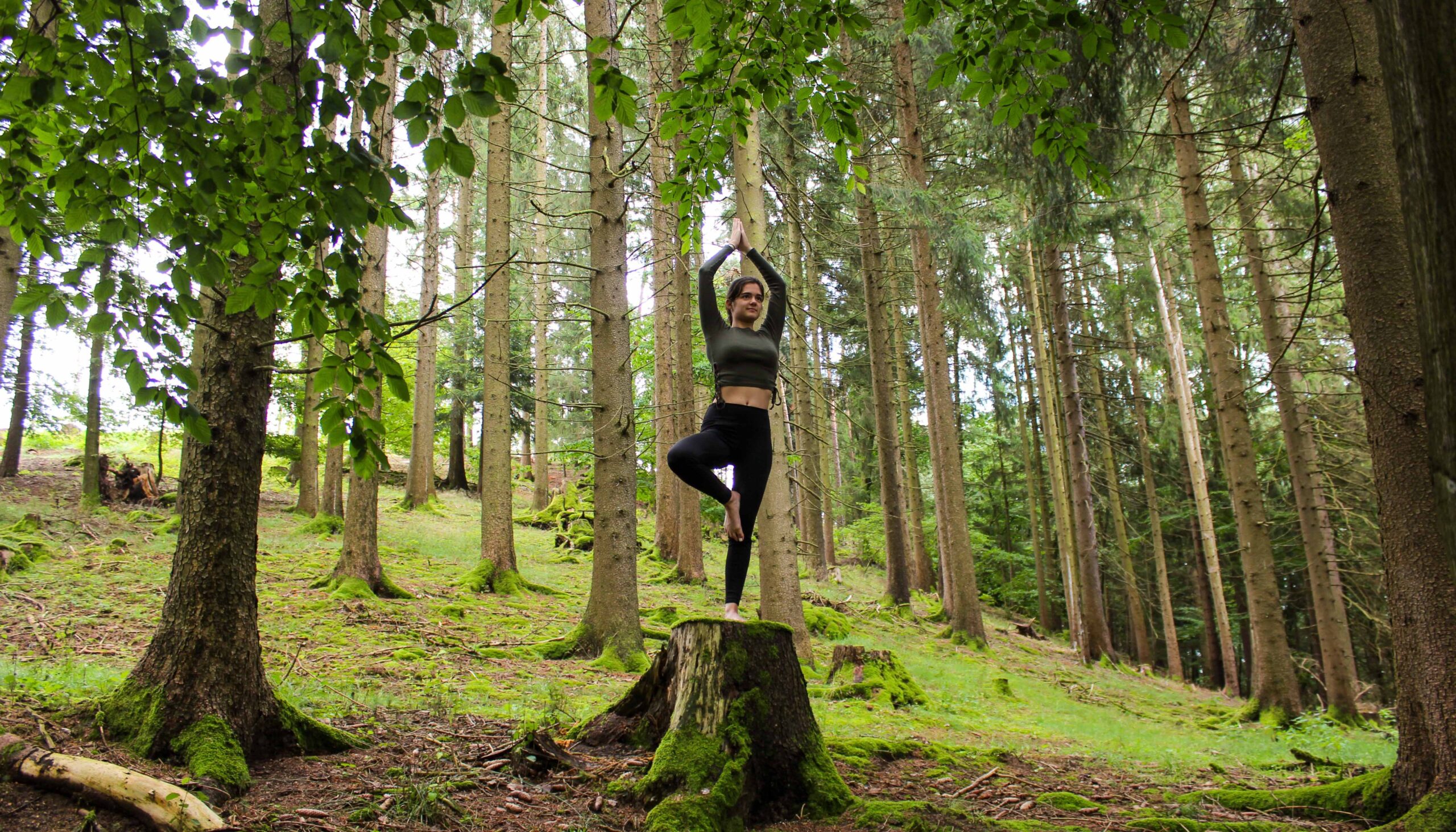 Frau macht Yoga auf Baumstumpf