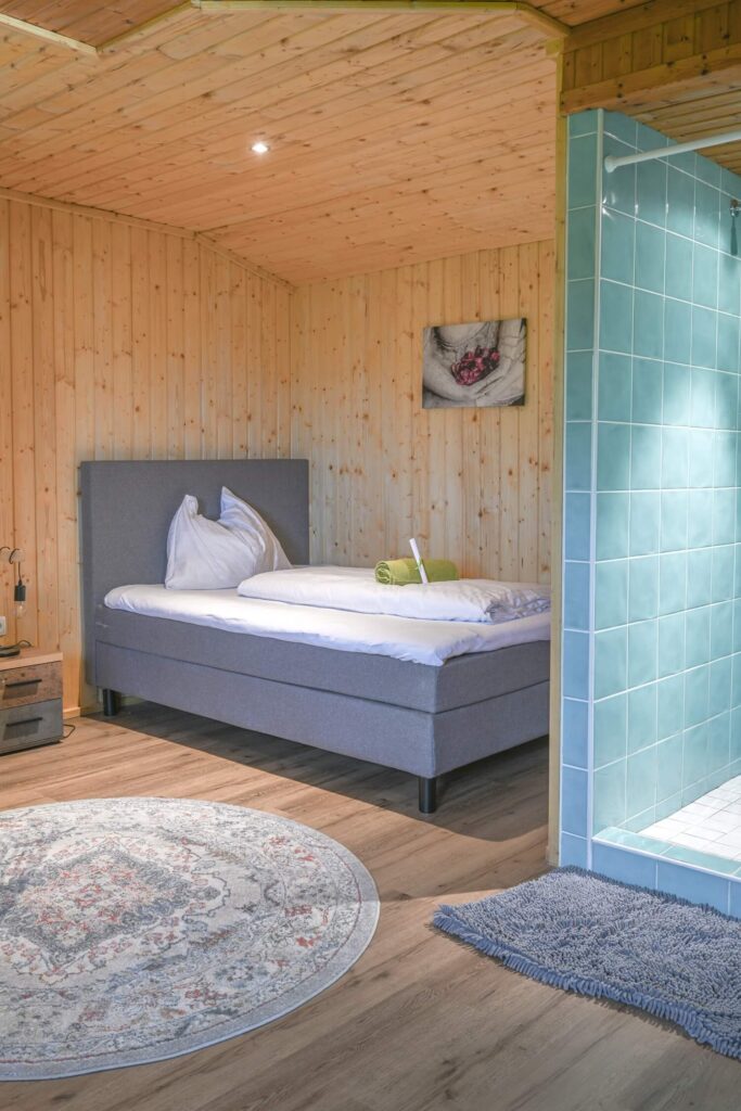 Gemütliches Zimmer mit Dusche und Teppich
