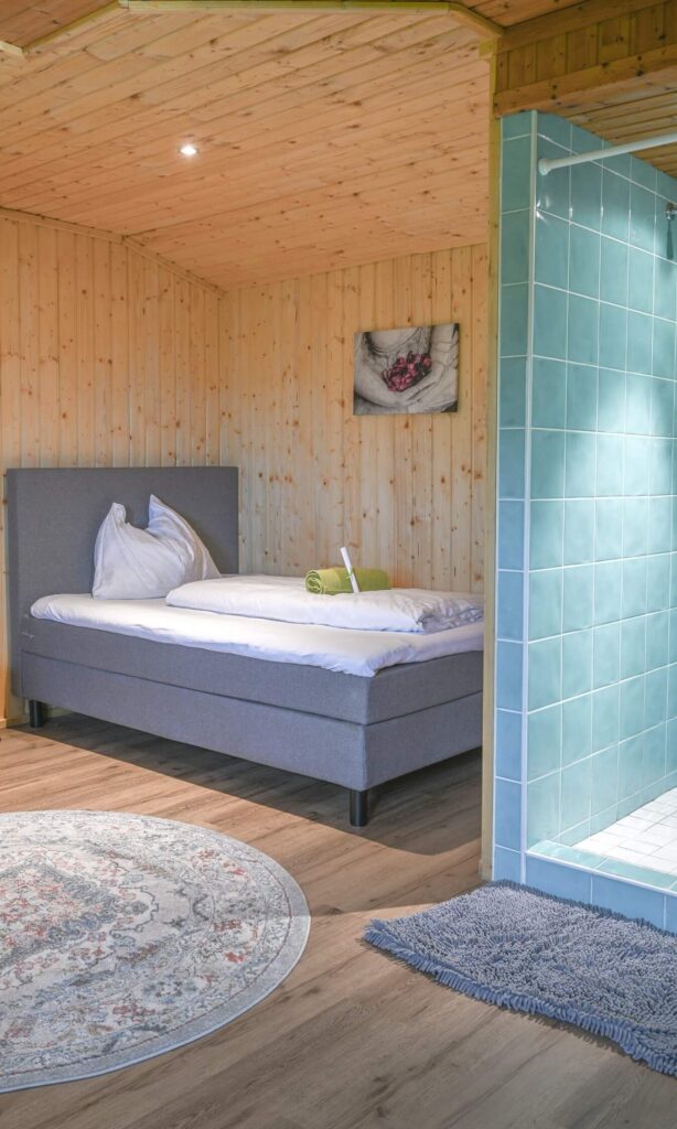 Gemütliches Zimmer mit Dusche und Teppich
