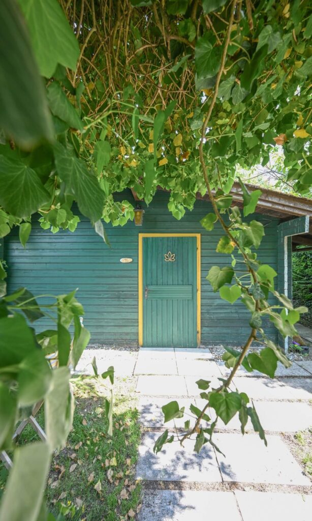 Grünes Holzhaus mit Tür und Pflanzen