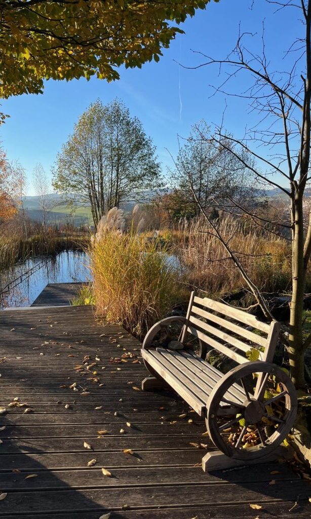 teich mit bank im herbst