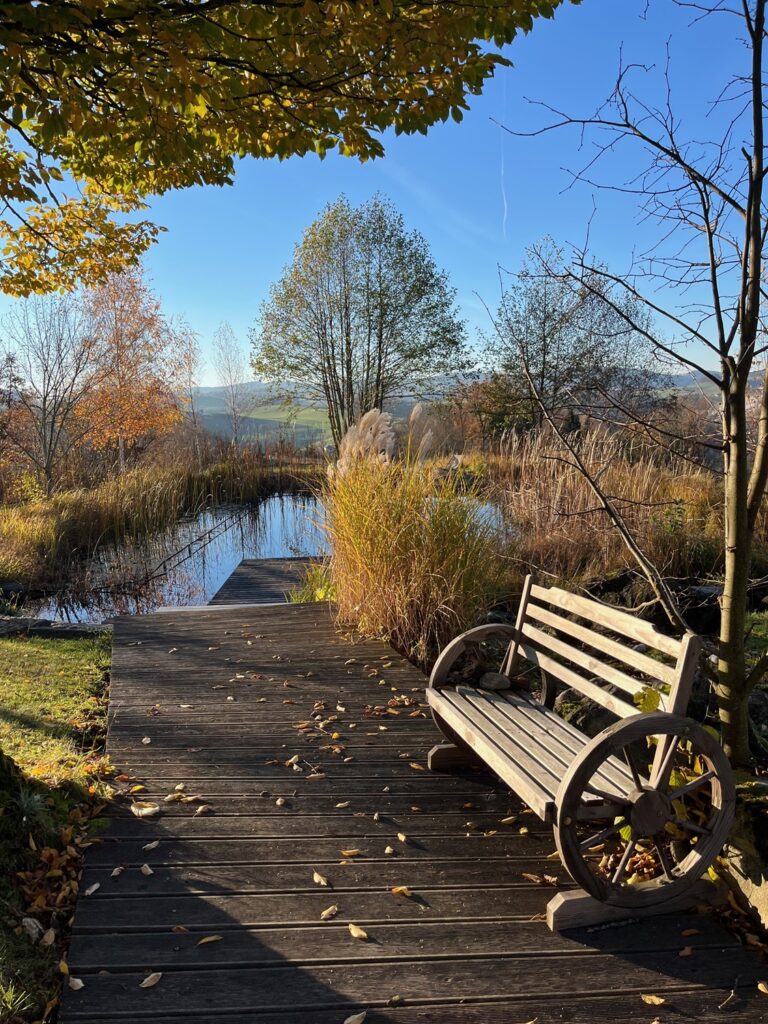 teich mit bank im herbst