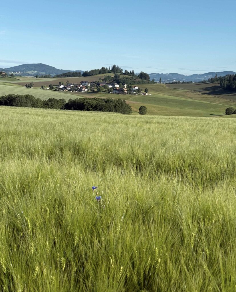 Grünes Feld mit Hügeln und Dörfern