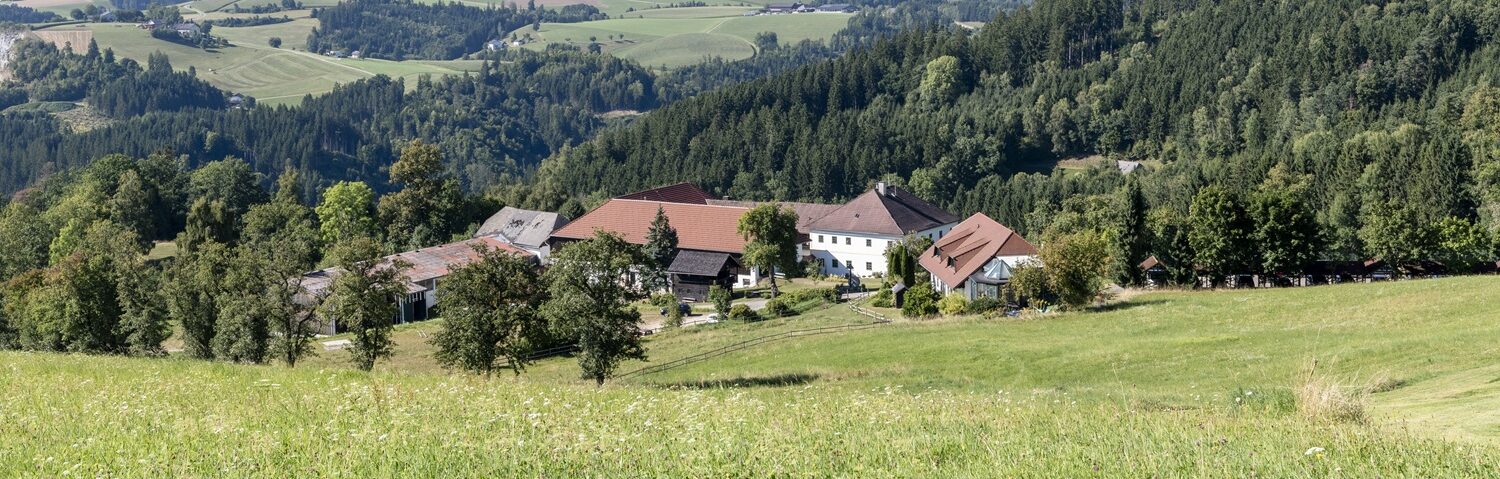 Landschaft mit Bauernhöfen und Bergen
