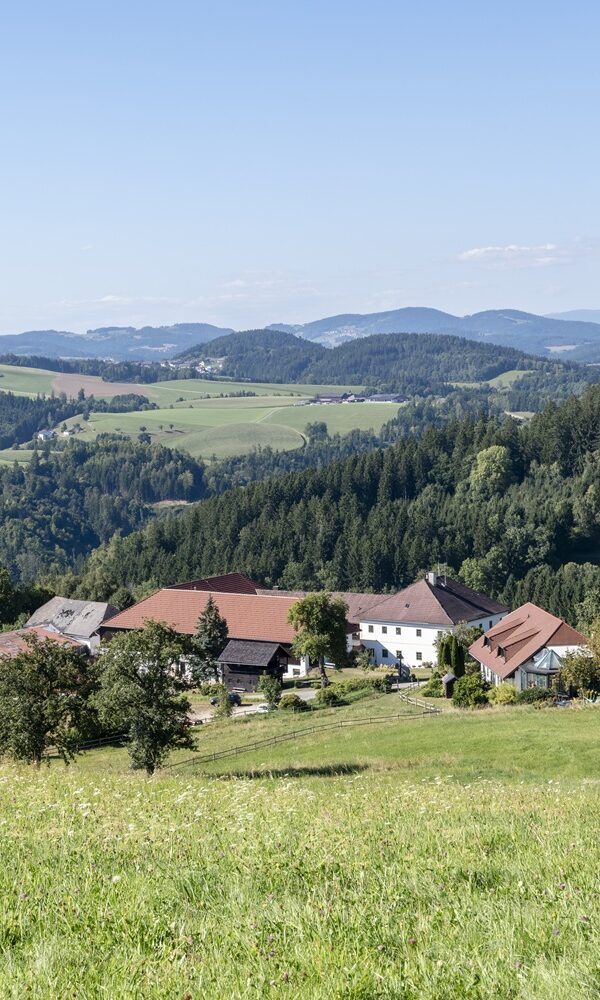 Landschaft mit Bauernhöfen und Bergen