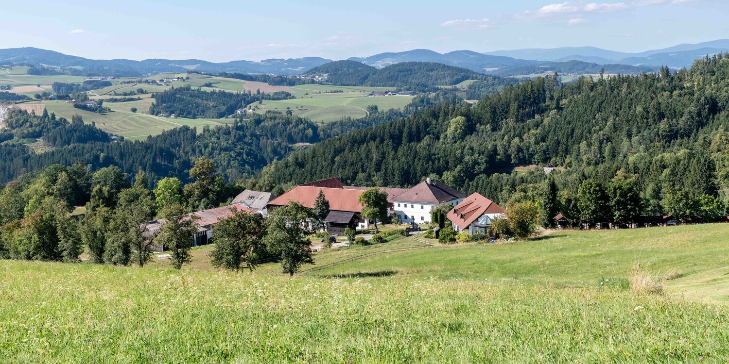 Landschaft mit Bauernhof und Bergen