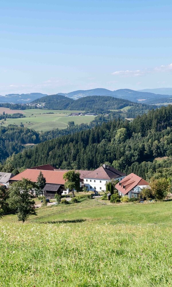 Landschaft mit Bauernhof und Bergen