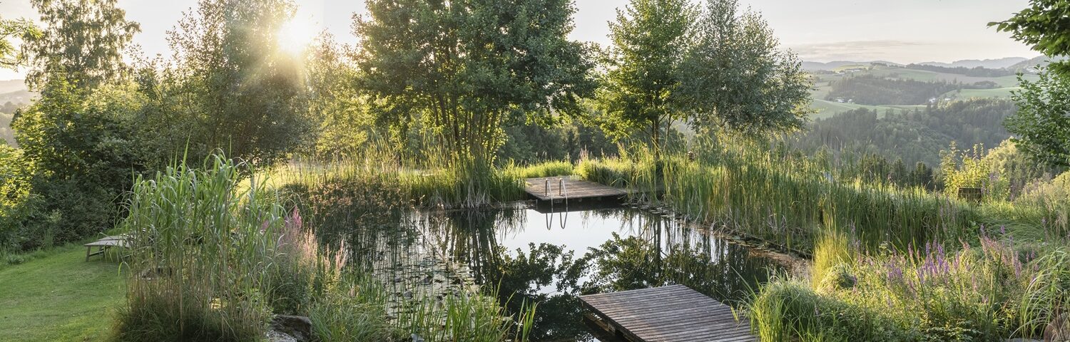 Idyllischer Teich mit Sonnenuntergang