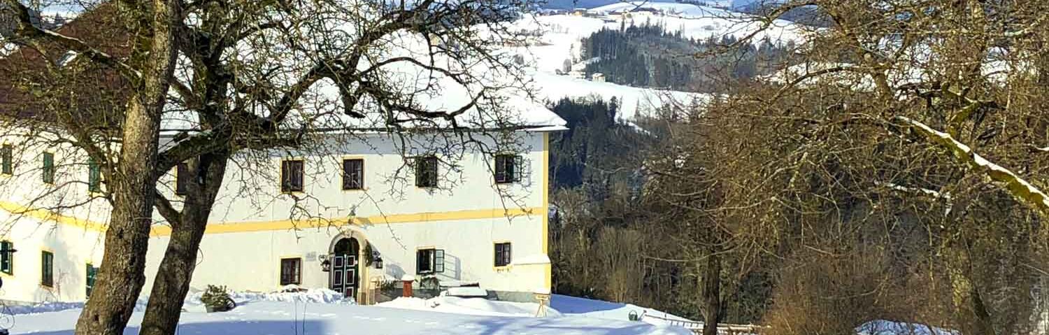 Schneebedecktes Landhaus im Winter