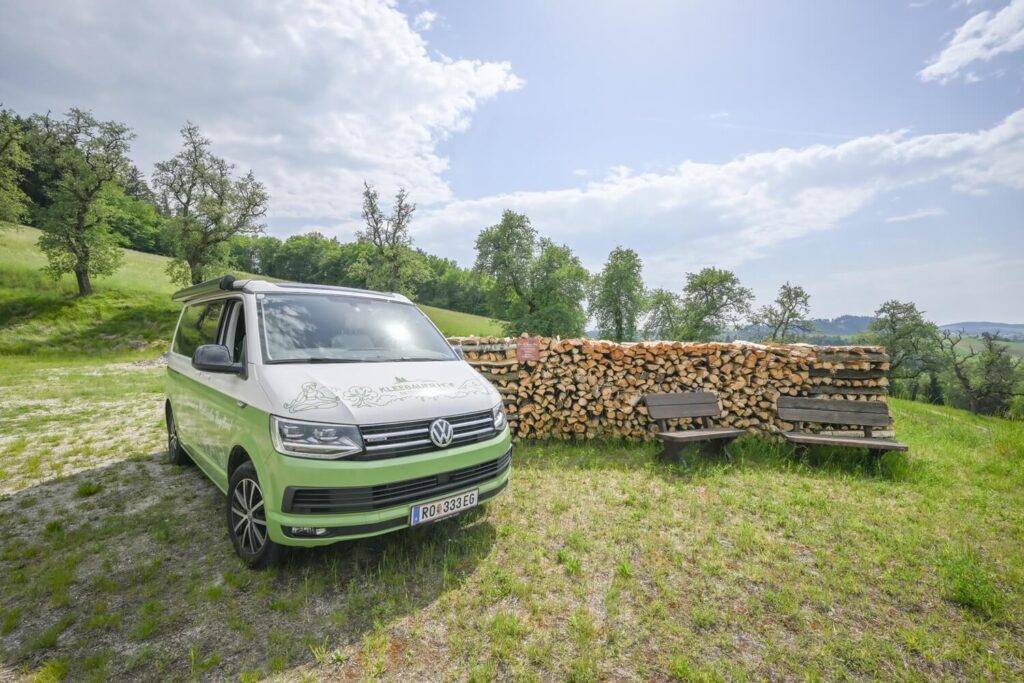 VW-Bus vor Holzstapel und Bäumen
