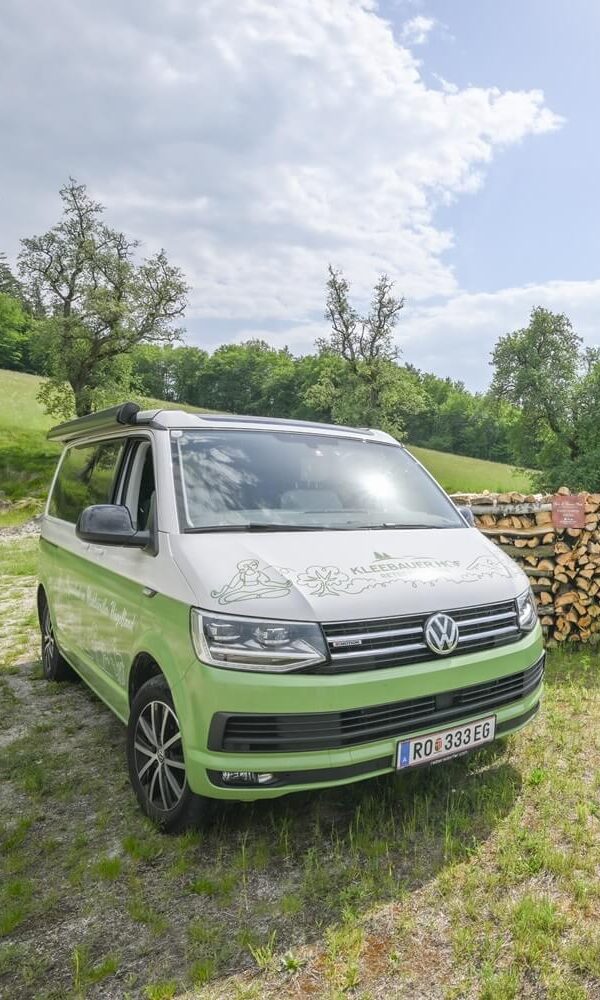 VW-Bus vor Holzstapel und Bäumen