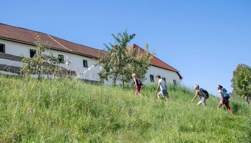 Menschen wandern auf einer Wiese.
