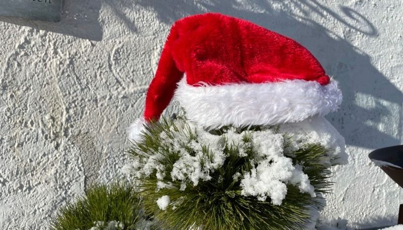 Weihnachtsmannmütze auf schneebedecktem Baum