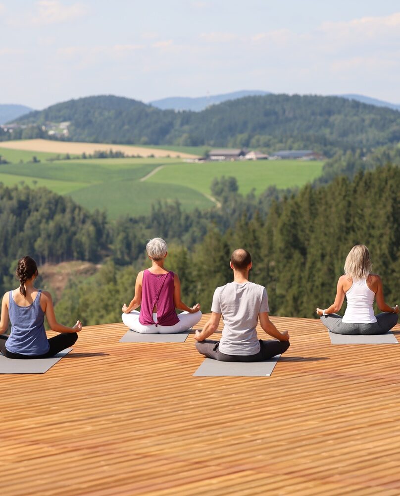 Gruppe meditiert mit Aussicht auf Natur